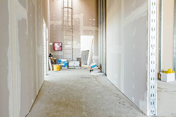 Peosta, IA Mold Removal Company